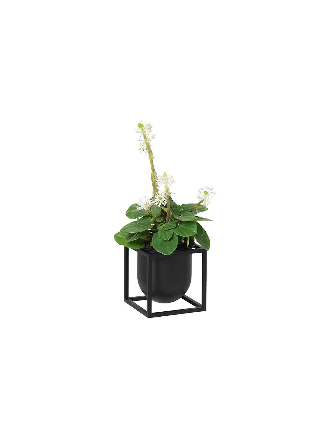 Kubus Flowerpot