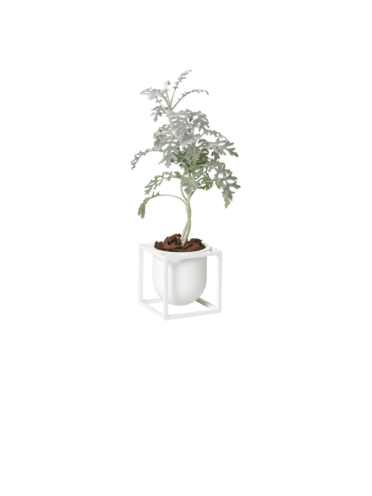 Kubus Flowerpot